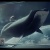 dawn_recipe_9nt