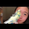 minhua