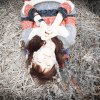 dawn_thunder_yz