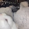 失联盐分