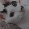 Kymn