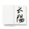 white_brook_xp9