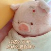 蛋哩蛋