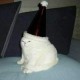 Redbean