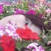 晃晃あキラ