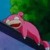 slowpoke