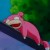slowpoke
