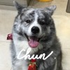 Chun