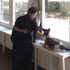 风居住过的街道