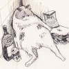 delicate_cell_le1