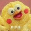 鸚鵡