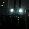 霞戮