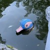 愚人众