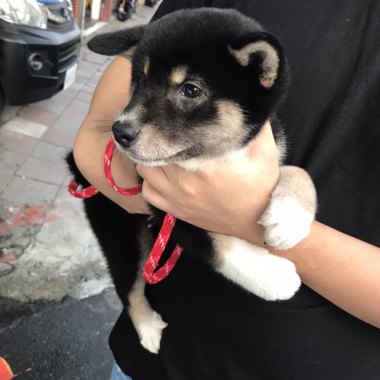 im搜哩