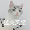 辉夜