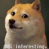 rapid_disk_myd