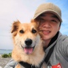 dog111122