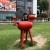 stupiddolphin20