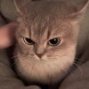 周