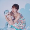 DoDo
