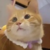 一加二