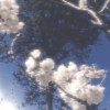 double_moods_777
