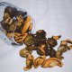 乾燥花 Dried flower