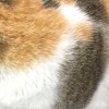 dry_bread_o03