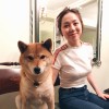 肥猫