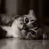Hiiiiiiii