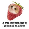 lucky_cell_66e