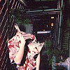 冬洋一剪梅