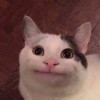 夕夕
