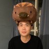 dy_pig_