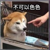 =   =