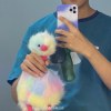 廿陆时