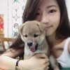 ej_shih