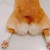 long_scene_ens