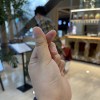 笨笨的小豬