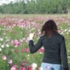 sarome