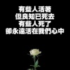 emily_yip