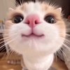 emily_kuo