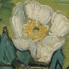 71