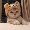 伊娃