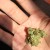 ? ? 字嗨Get High 410.com