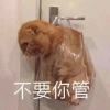 蘇山