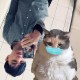 安月