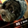 moson@阿豆