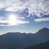 嶼鹿泥鯨