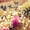 fairy